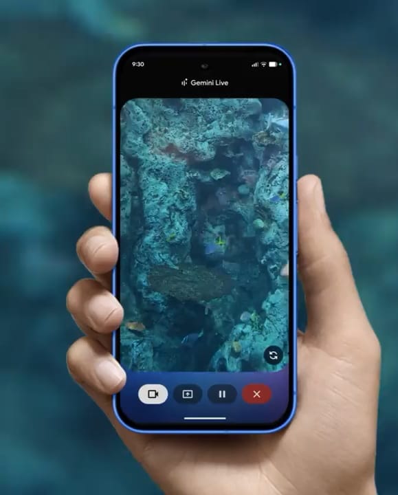 Take a picture. And be in it, too.