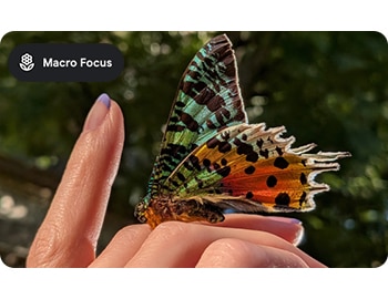 Turn tiny details into spectacular images