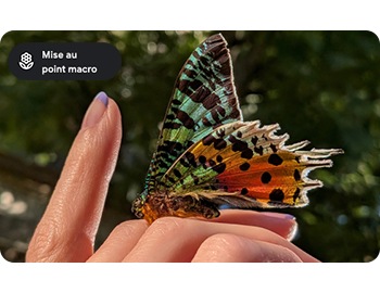 Transformez de petits détails en images spectaculaires.